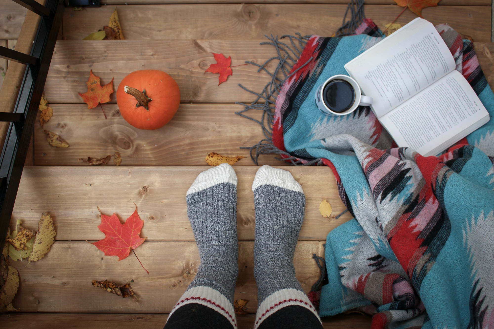 Fall Into Safety: Your Essential Guide to Avoiding Seasonal Scams in Late September 2025